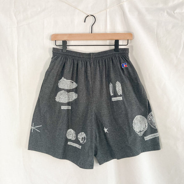 Beachcomber Shorts