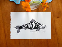 Individual Salmon Prints; 5 images in various size prints