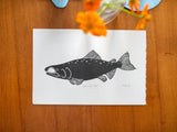 Individual Salmon Prints; 5 images in various size prints